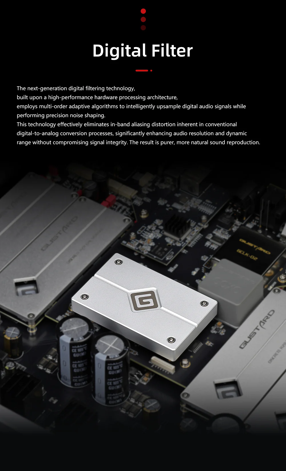 GUSTARD R30 Fully-Discrete R2R Network Streaming DAC - Image 10