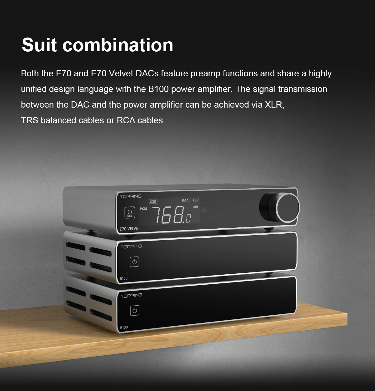 TOPPING B100 Mono Pure Power Amplifier (Apos Certified) - Image 9