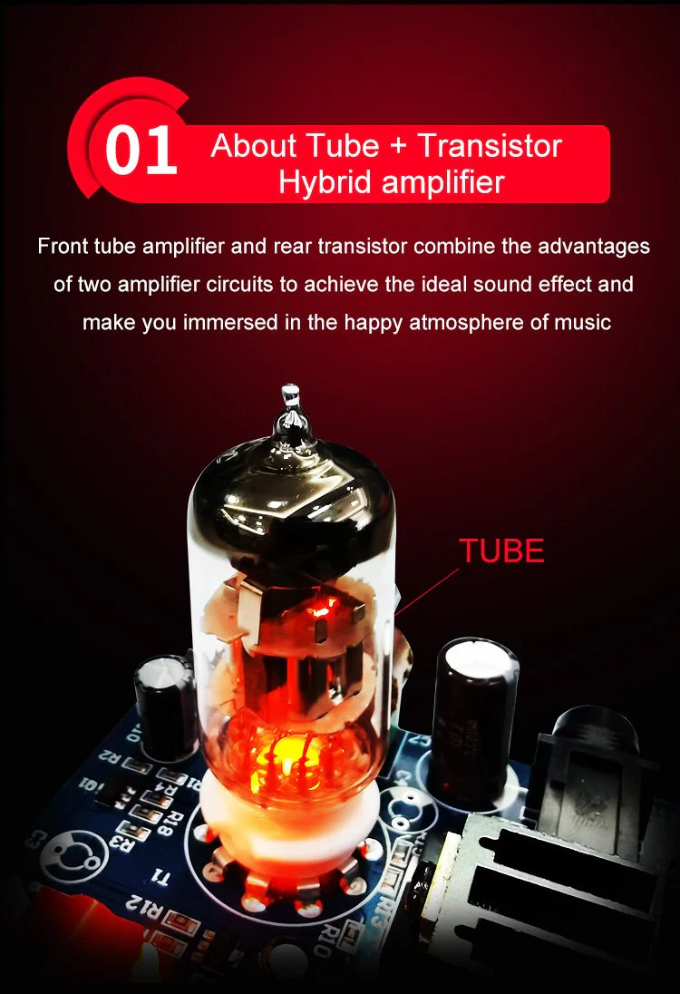 xDuoo MT-601 Tube Class-A Headphone Amplifier (Apos Certified) - Image 3