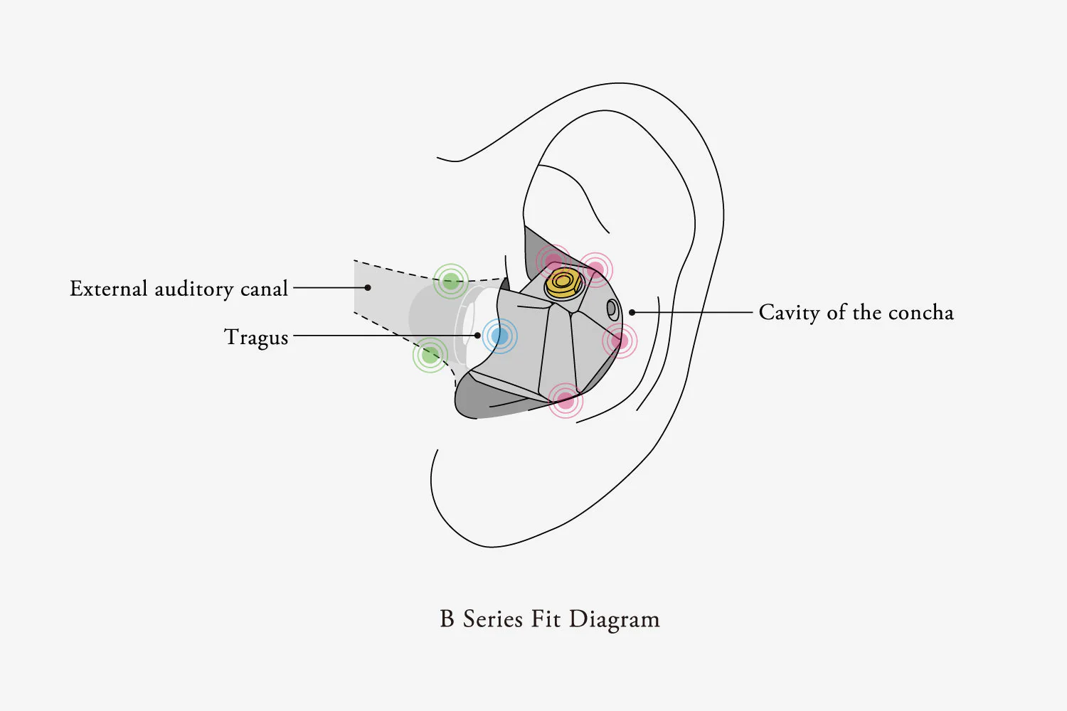 final B2 Balanced Armature IEM - Image 6
