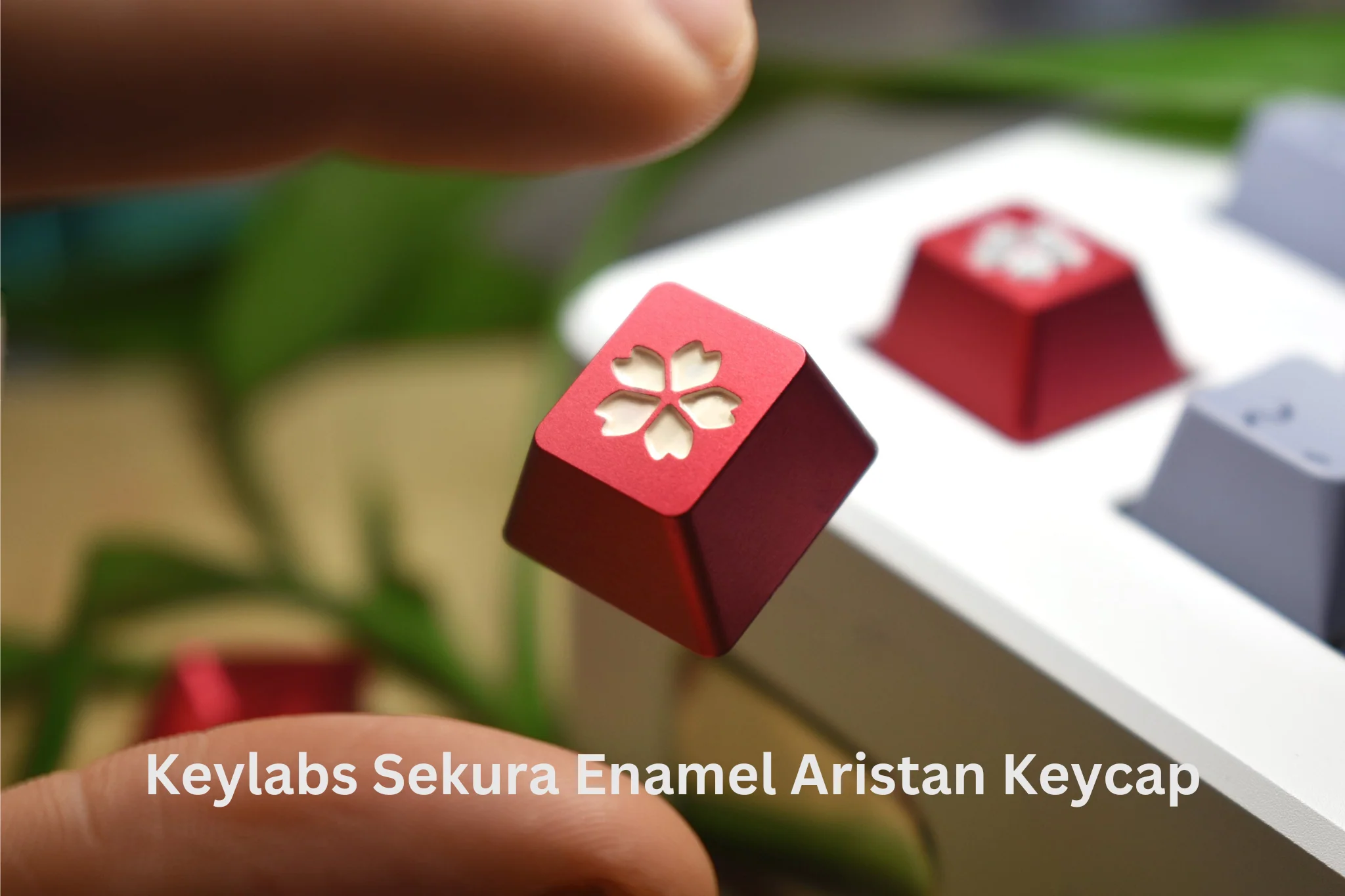 GMK Hanami Dango Keycap Set - Image 18