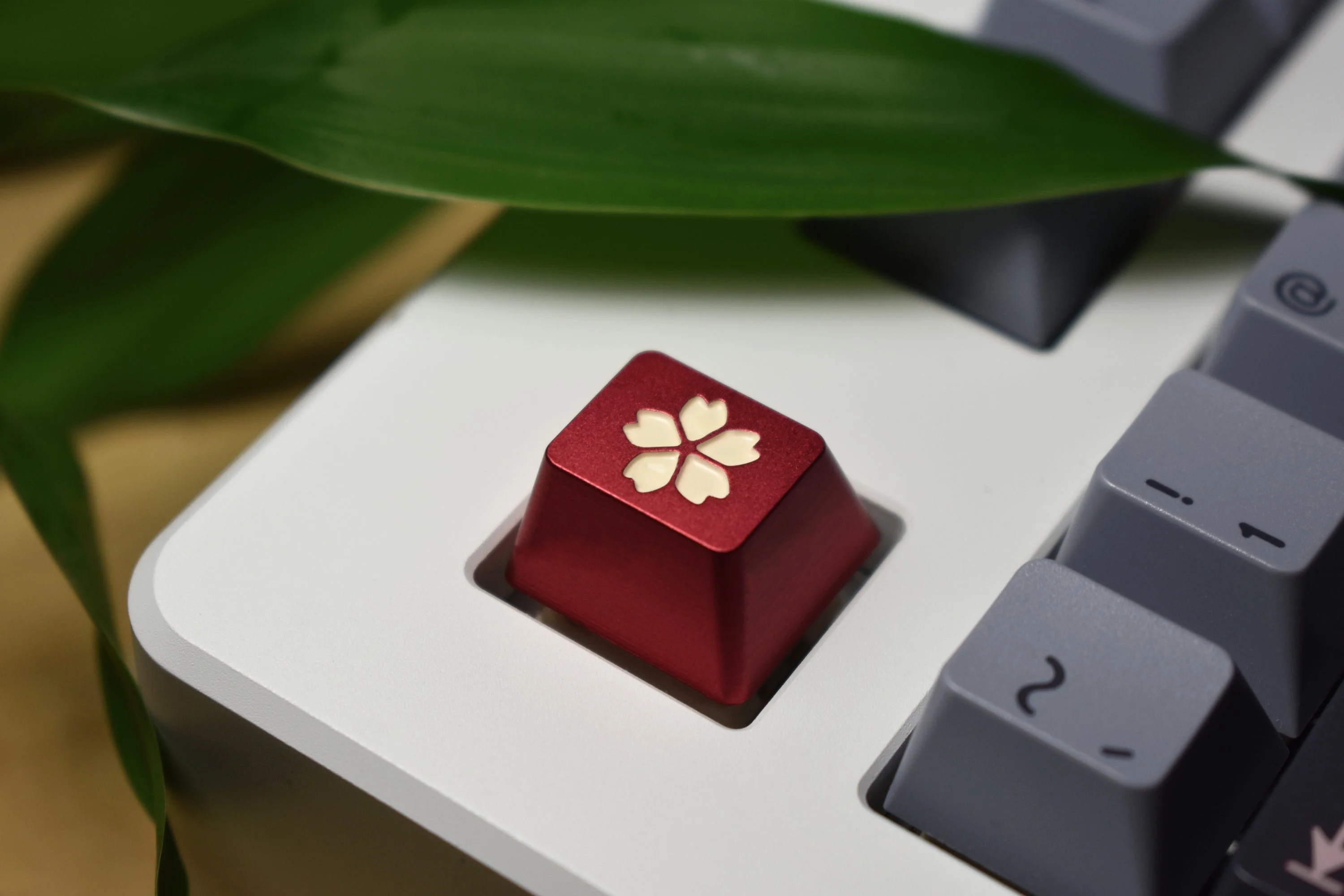 GMK Hanami Dango Keycap Set - Image 31