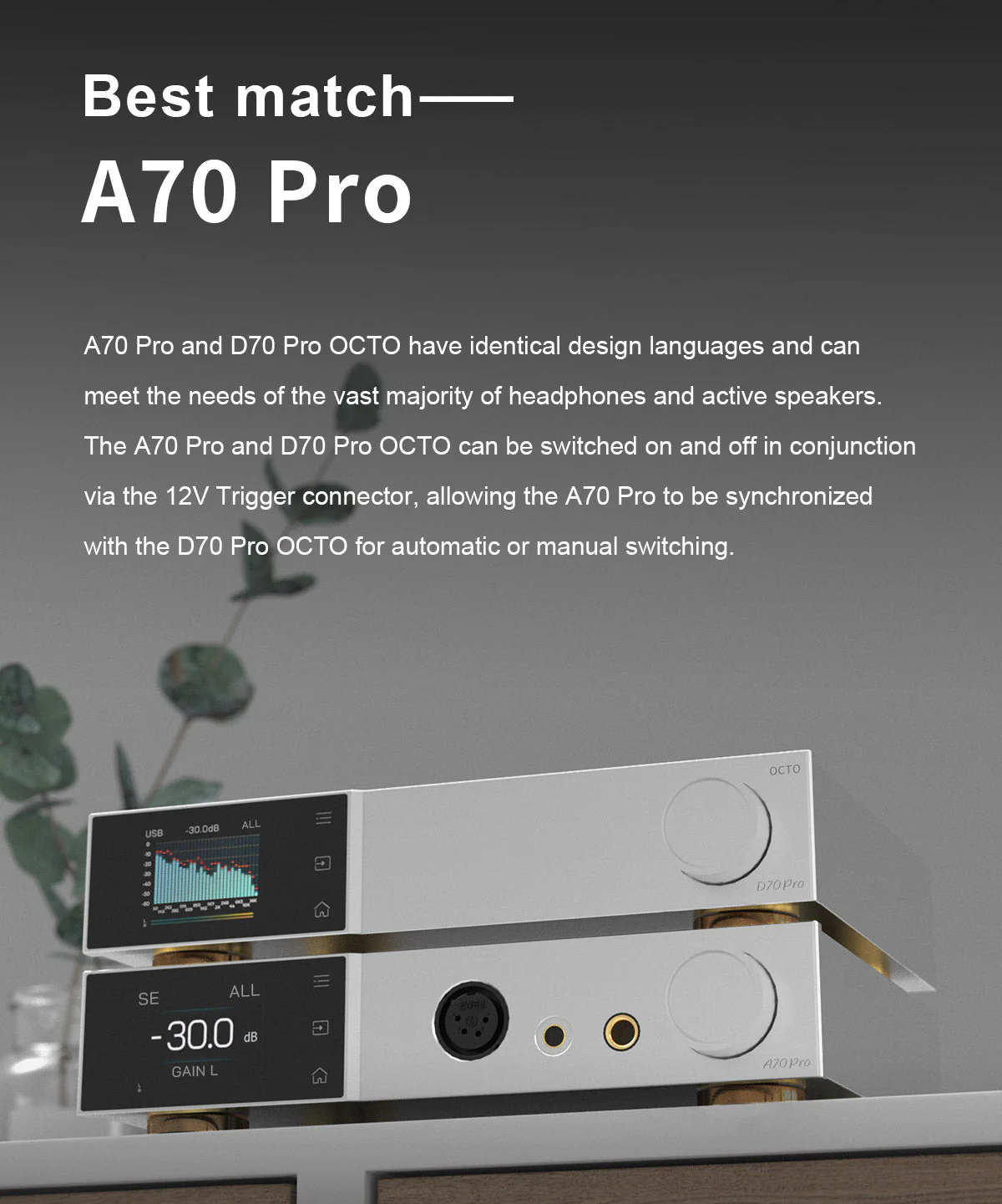 TOPPING D70 Pro OCTO HIFI Desktop DAC - Image 15