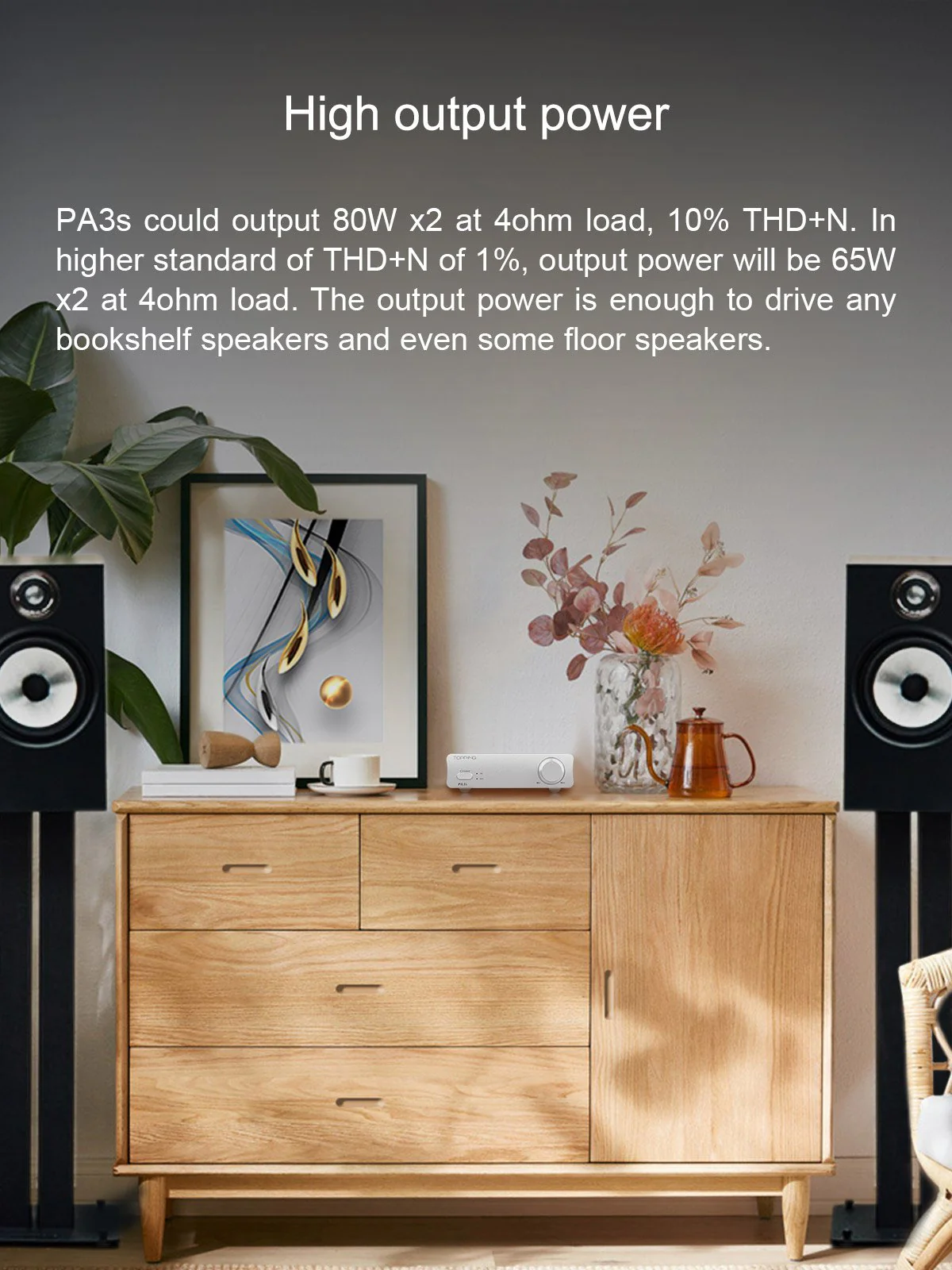 TOPPING PA3s Fully Balanced Class D Amplifier - Image 6