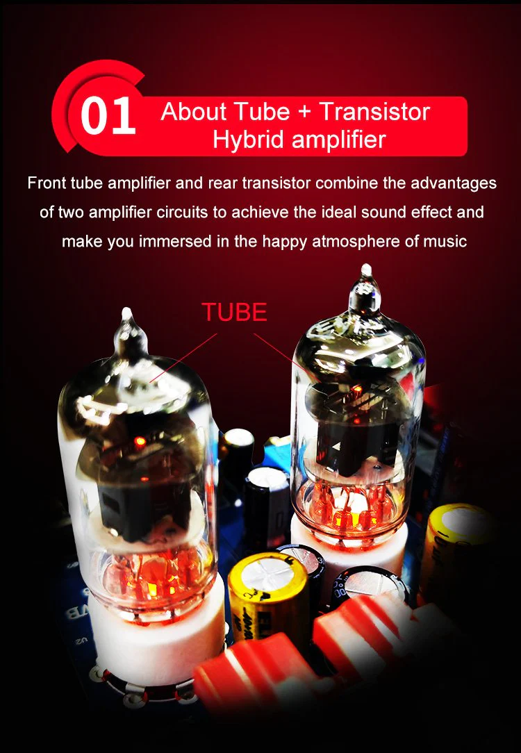 xDuoo MT-602 Tube Class-A Headphone Amplifier - Image 4