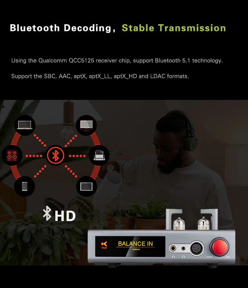 xDuoo TA-22 DAC/Tube Amp - Image 5